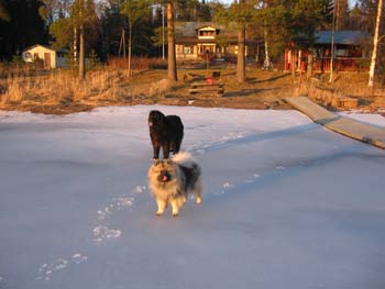 Metsässä 03.-07 013